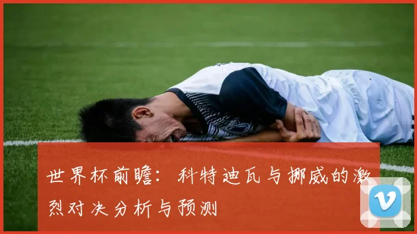 世界杯前瞻：科特迪瓦与挪威的激烈对决分析与预测